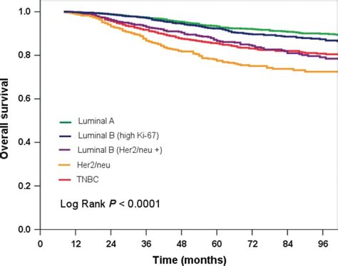 Kaplanmeier Overall Survival By Breast Cancer Subtypes 5 Year Overall Download Scientific