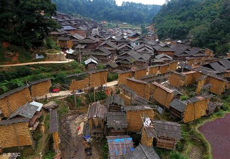 贵州从江占里侗寨“禾晾”美景，成为当地侗寨一道亮丽风景 每日头条