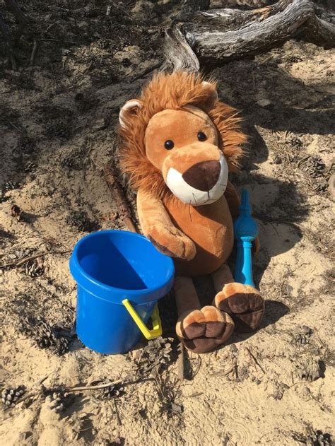 A Stuffed Lion Sitting In The Sand Next To A Blue Bucket And Toy Shovels