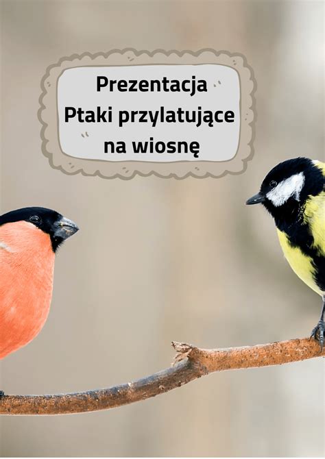 Ptaki Przylatuj Ce Na Wiosn Prezentacja Edu Skarbnica Materia Y