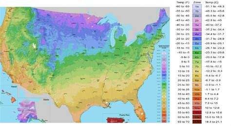 Planting Zones and Microclimates - Plant for Success