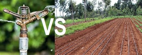 Drip Irrigation Vs Sprinkler Irrigation Graduate Farmer