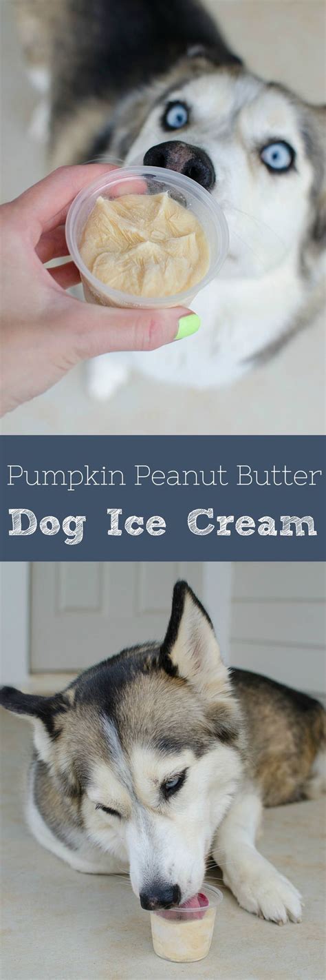 Can Dogs Eat Frozen Yogurt Ice Cream