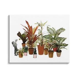 Stupell Varied Terracotta Potted House Plants Floral Person Collage