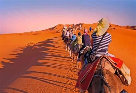 Jaisalmer Camel Safari Rajasthan Royals Holidays