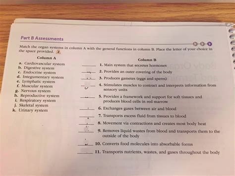 Organ Systems And Their Functions Matching Diagram Quizlet