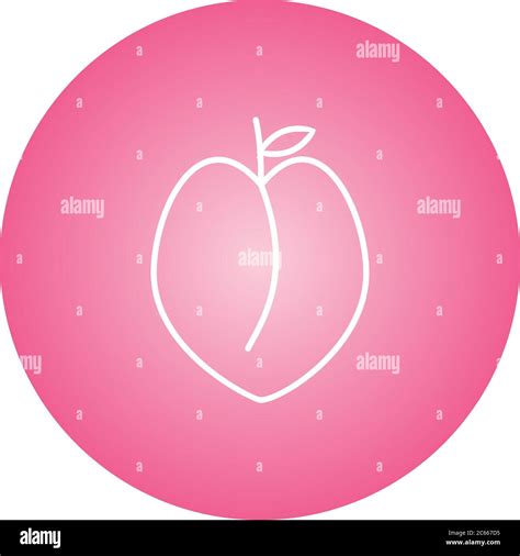 Unique Peach Vector Line Icon Stock Vector Image And Art Alamy