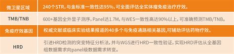 Oncodrug Seq™ Plus 泛癌种全景式基因检测 鼎晶生物 让医疗更有效肿瘤基因检测