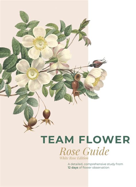 White Rose Guide — E-Books — Team Flower