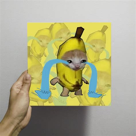 Placa Aesthetic Meme Banana Cat, Gato Banana, 20x20 | Elo7