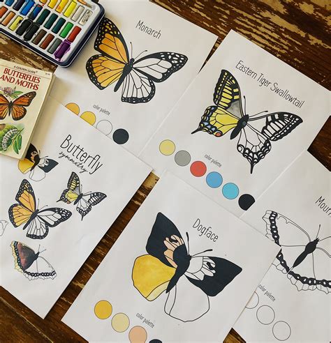 Butterfly Symmetry Art Coloring and Activity Pack - Etsy