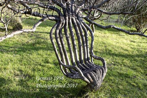 Tree Shaped Into A Chair at Donna Lahti blog