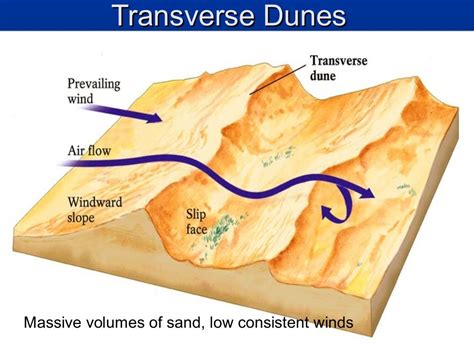 Arid Aeolian Landform