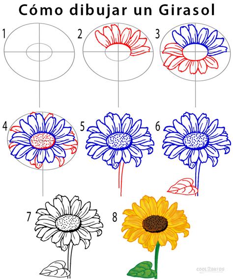 Descubrir Pasos Para Dibujar Un Girasol Muy Caliente Camera Edu Vn