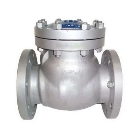 Ss Non Return Valve Stainless Steel At Rs Piece In Jalandhar Id