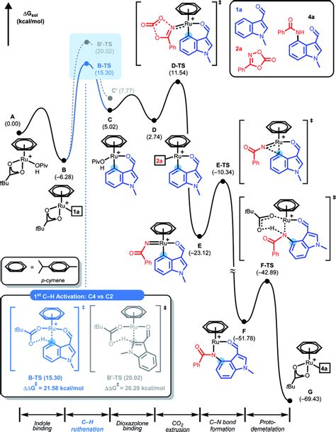 Dft Calculated Energy Profile Obtained For The Ru Ii Catalyzed