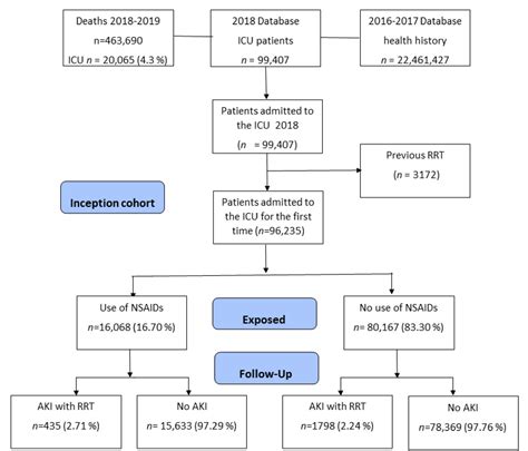 Acute Kidney Injury in a Cohort of Critical Illness Patients Exposed to