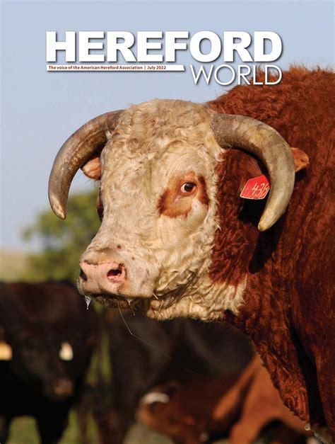 July 2022 Hereford World Magazine By American Hereford Association And