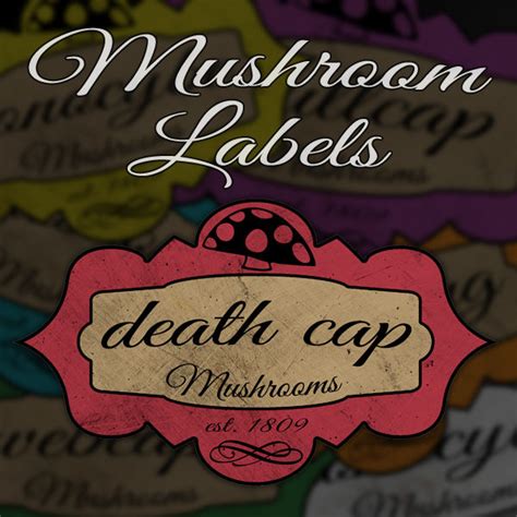 6 Custom Mushroom Labels Print In Full Color On Sticker Paper Spookteek