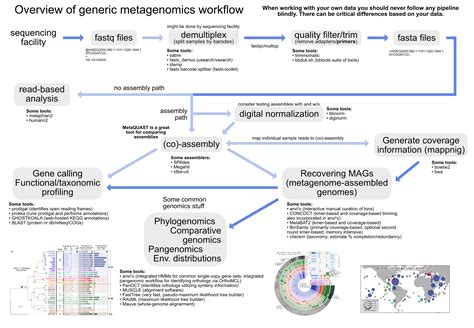 Assembling A Metagenome And Recovering Genomes With Anvio Angus