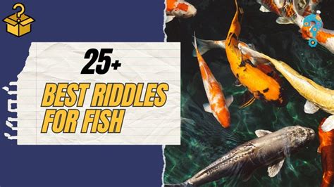 25+Best Riddles For Fish (A Brain-Teasing Adventure)