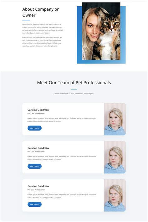 About Us Layouts Webpage Layouts Barketing Solutions