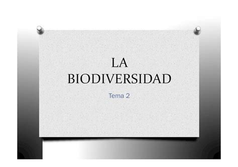 Pdf La Biodiversidad Pp Dokumentips