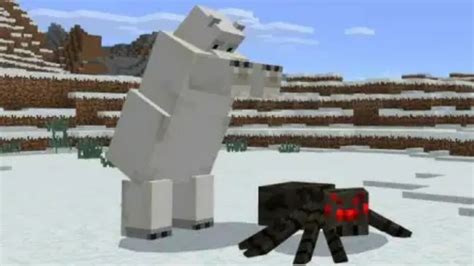 Minecraft Polar Bear: Spawn Locations, drops and more!