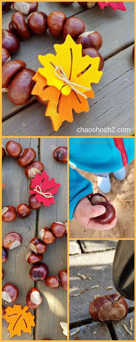 An Assortment Of Fall Leaves And Acorns On A Picnic Table With Text Overlay