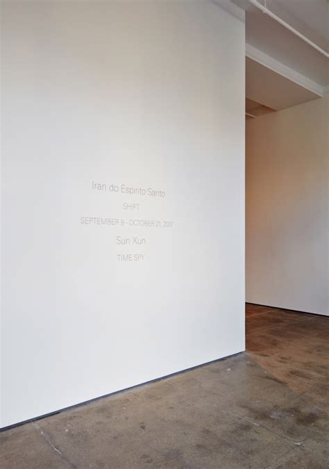 Iran do Espírito Santo SHIFT Exhibitions Sean Kelly Gallery