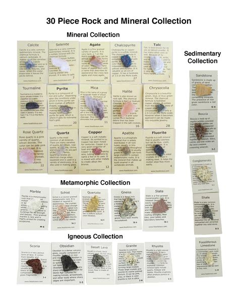 Rock And Mineral Collection Specimens Rocks And Minerals Mineral