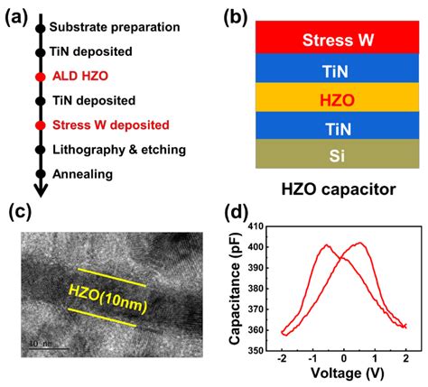 Influence Of Applied Stress On The Ferroelectricity Of Thin Zr Doped