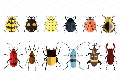 Vector bugs | Icons ~ Creative Market