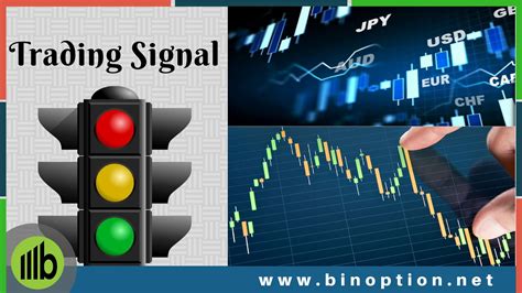 Binary Options Guide For The Learner In You Binoption