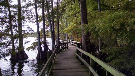 Reelfoot Lake State Park - Go Wandering