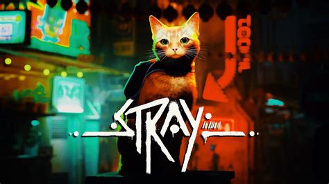 Stray Cats Wallpaper