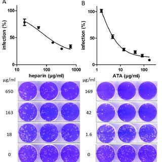 A Docking Model Of The Binding Of Heparin Sodium And Ata To The Rbd