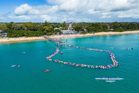 Gallery Hervey Bay Whale Festival