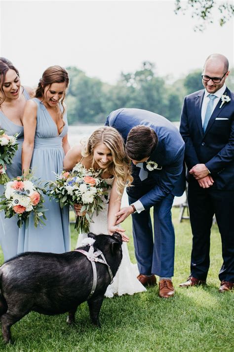 Wedding Party Greets A Festive Pig