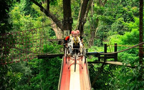 Chiang Mai Pongyang Jungle Coaster And Zipline Getyourguide