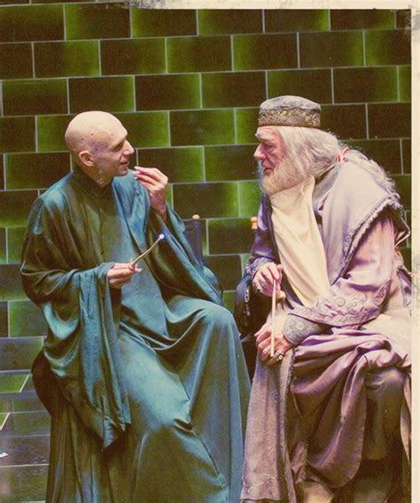 141 Best Images About Harry Potter Voldemort On Pinterest Lord