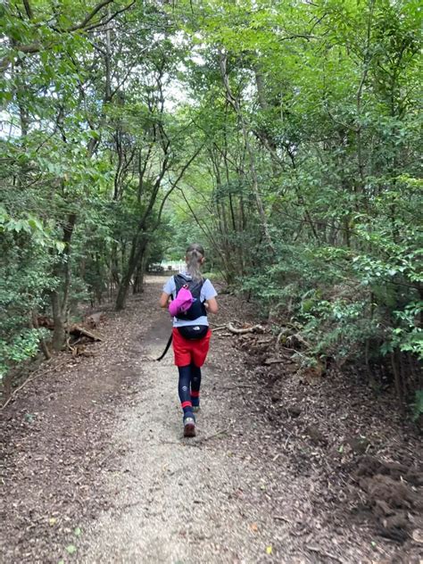 🎶楽しかったよ！ヤマイチ〜🗻山科一週💨東山・清水山・清閑寺山・今熊野山・稲荷山・大岩山・醍醐山・高塚山・西千頭岳・千頭岳・牛尾山・音