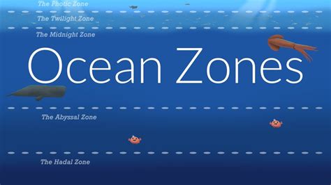 Ocean Zones Nautilus Live YouTube