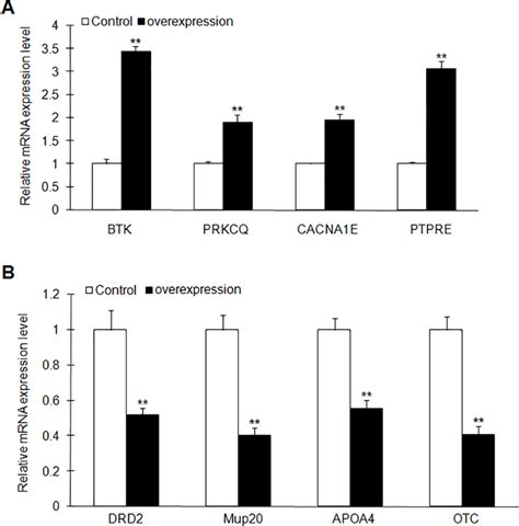 Gene Expression Analysis By Real Time Pcr The Expression Of Genes