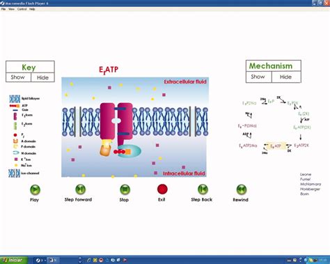 Atp Cycle Animation