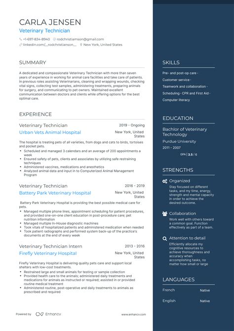 Veterinary Technician Resume Examples Guide For Layout Skills