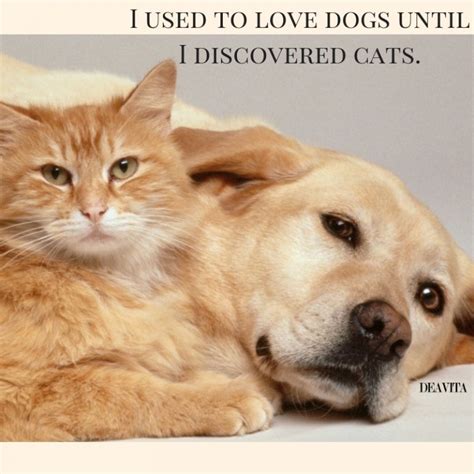 Cats vs Dogs quotes and funny sayings for your beloved pets