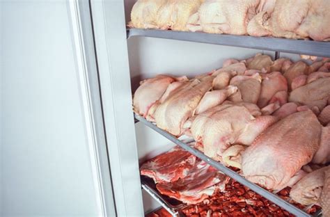 Meat Storage Solutions: Customized Solutions for Chicken, Beef, and Pork