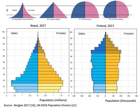 Population Pyramids Source Berglee 10 And Un Desa Population