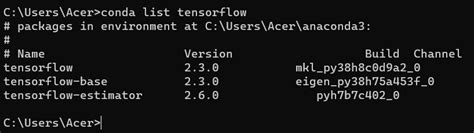 Conda を使用して Tensorflow 2 をインストールする Delft スタック